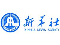 新华社社评:全面从严治党,走在时代前列
